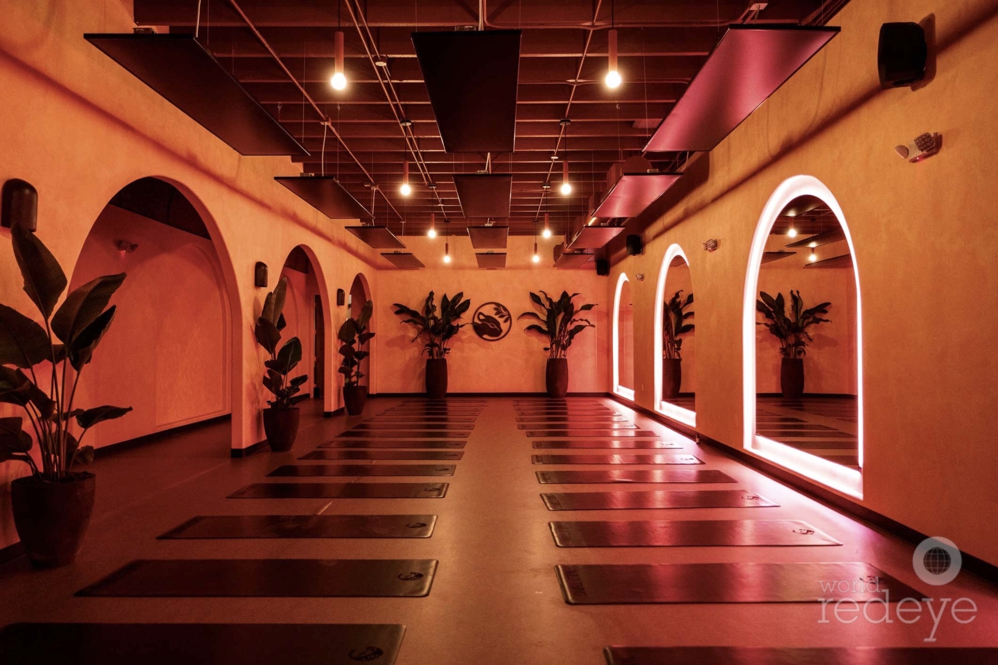 Wild Thing yoga studio